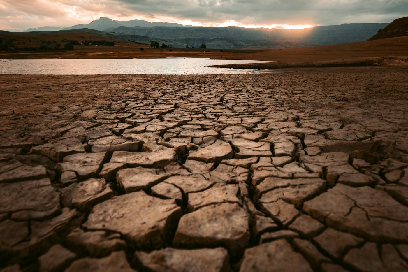 Dry, cracked earth stretching to the horizon.