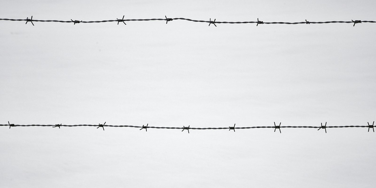 A barbed wire fence photographed in black and white.
